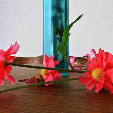 Coral Blue Bay Dom wakacyjny