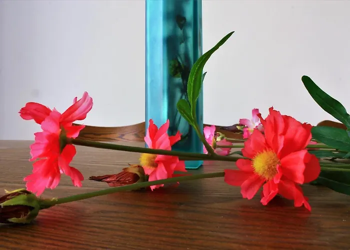 Coral Blue Bay Prázdninový dům